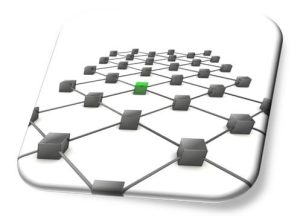 Conseil en animation et développement de réseaux